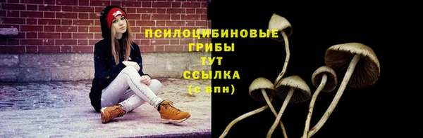 круглые Надым