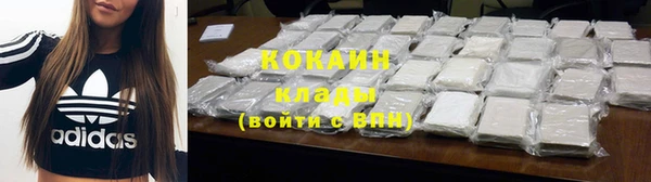 тгк Нея