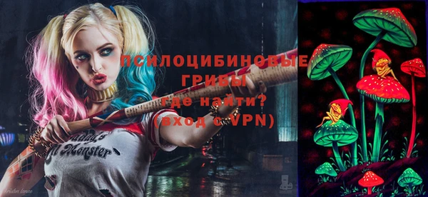 индика Навашино