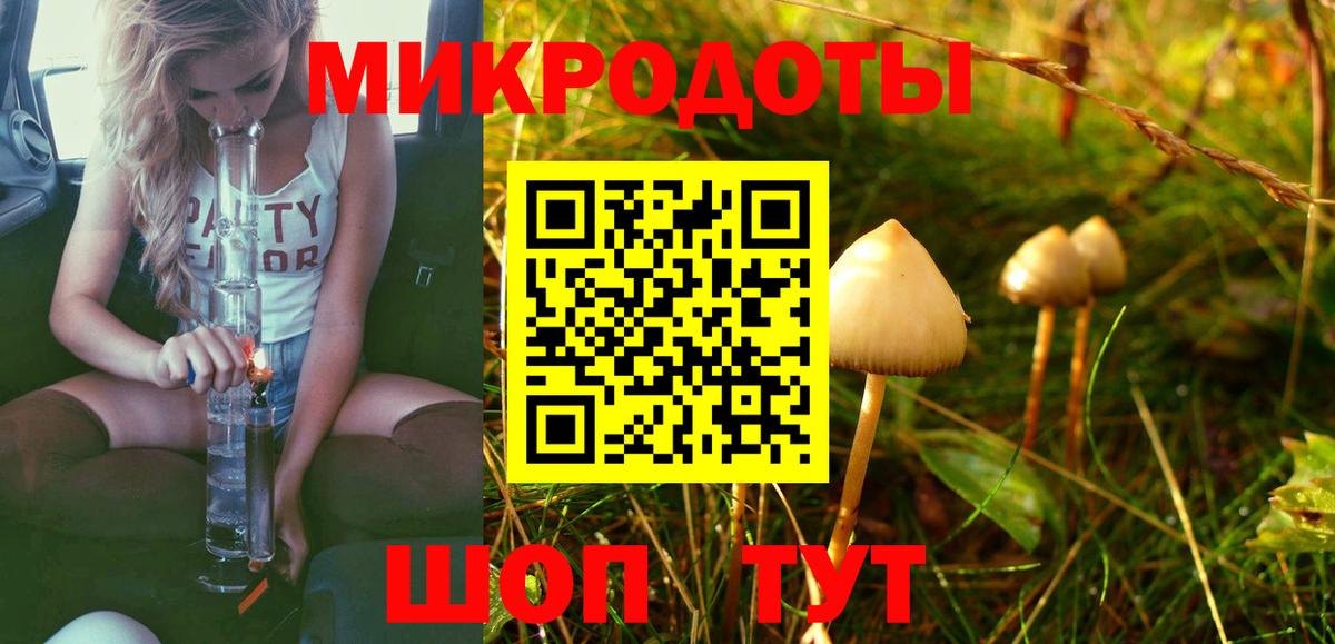 Галлюциногенные грибы Cubensis  цена   Людиново 