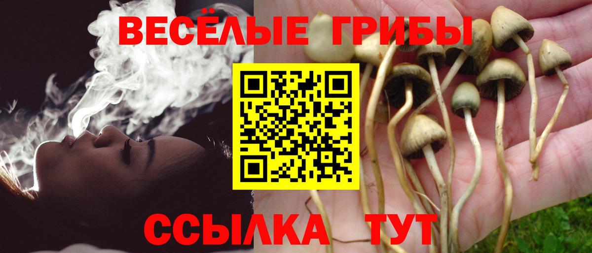 Псилоцибиновые грибы Psilocybine cubensis  Вход с VPN  Людиново 