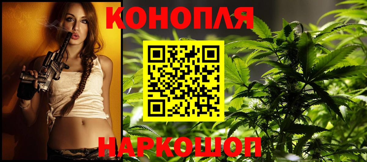 Людиново  Бошки Шишки планчик  Вход с VPN  МАРИХУАНА SATIVA & INDICA 